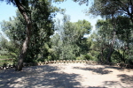 Barcelona Park G�ell 11