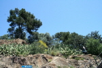 Barcelona Park G�ell 25