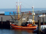 Horumersiel Am Hafen 12